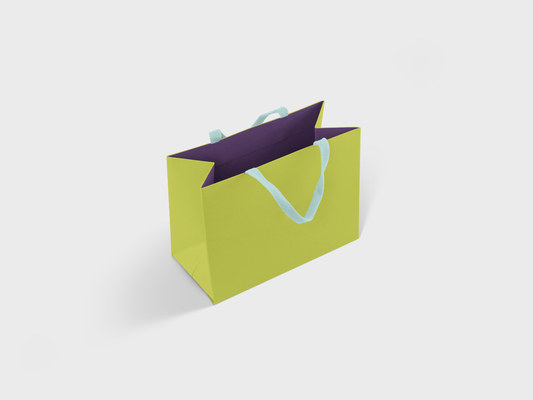 Blue Art Printed Paper Shopping Bag With Rope Ribbon Handle Gift Packaging