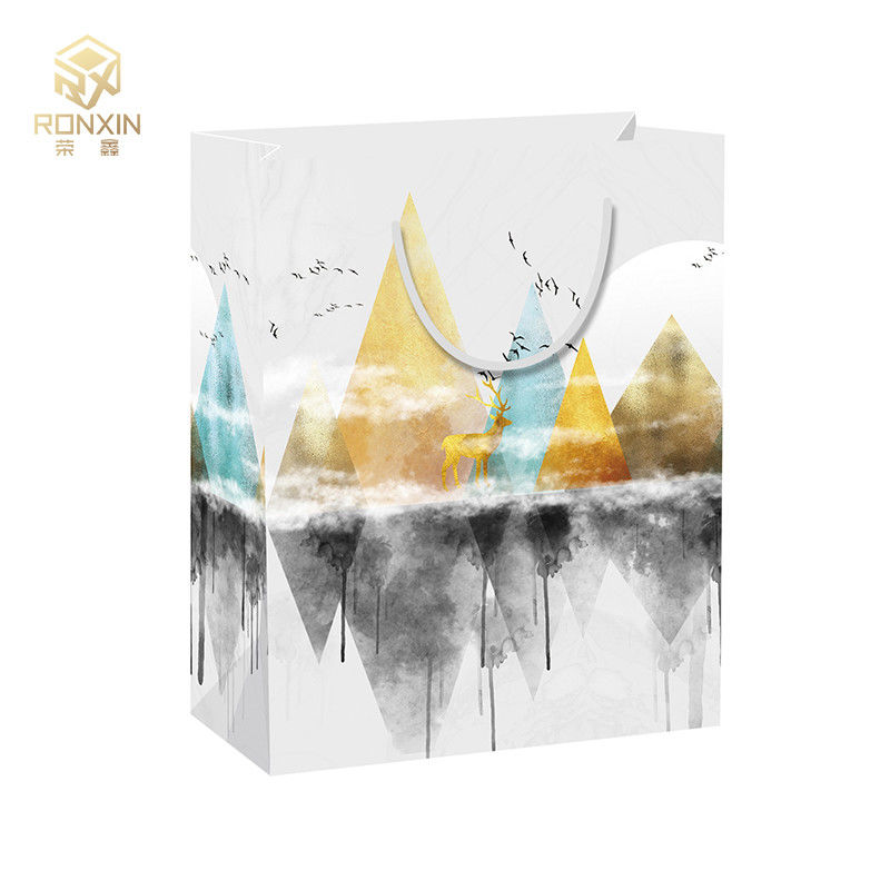 Coated Printed Paper Shopping Bag , Garment Shopping Bag Customized Size